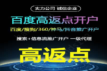 某公司SEO与SEM整合营销的全程记录